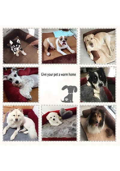 Tr Küçük Köpekler İçin Ortopedik Köpek Yatağı, Hafızalı Köpük Köpek Kanepe Yatağı, Çıkarılabilir Yast