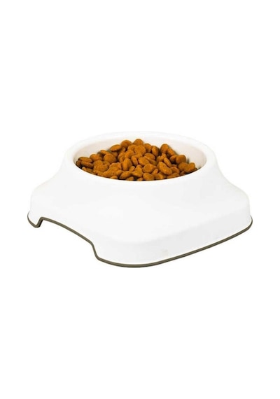 Silikon Kaydırmaz Taban Plastik Kedi Ve Köpek Mama Ve Su Kabı 2 L Go53/02920