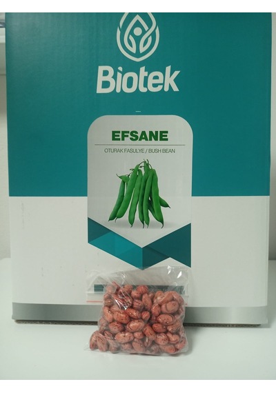 Biotek Oturak Efsane Fasulye Tohumu 100 Gr 4 Adet
