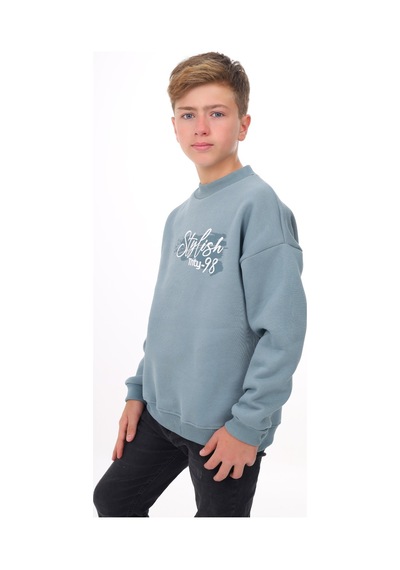 Toontoy Erkek Çocuk Baskılı Sweatshirt Mavi
