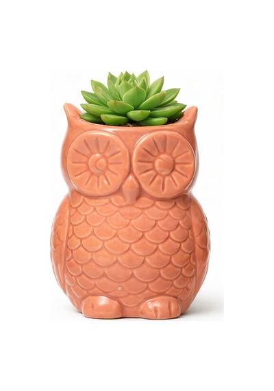Mıknatıslı Mini Baykuş Saksı, Pembe