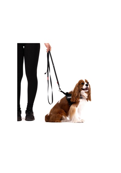 Ezydog Leashes Trainer Soft 25 Mm 180 Cm Köpek Gezdirme Kayışı Mavi Çok Renkli
