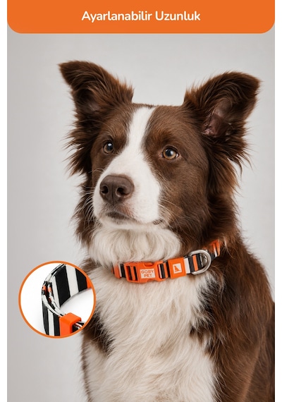Köpekler İçin Dayanıklı Ve Güvenli, Desenli Boyun Tasması 25mm Çizgili