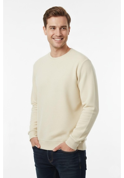 Dynamo Erkek Sıfır Yaka Selanik Sweatshirt Regular Kalıp Bgl-st04926 Krem Dynamo Erkek Sıfır Yaka Selanik Sweatshirt Regular Kalıp Bgl-st04926 Krem