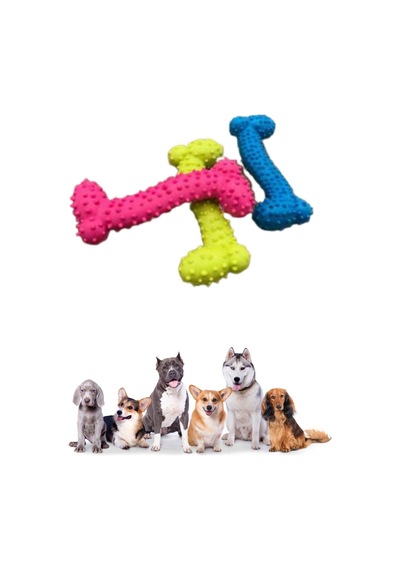 Buffer Tiny Kemik Oyuncağı Tırtıklı Yüzey Küçük Kemik Plastik Köpek Oyuncağı