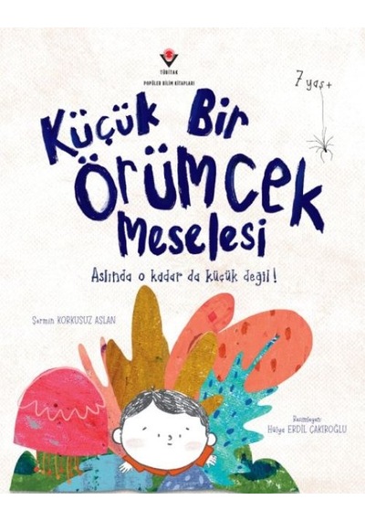 Küçük Bir Örümcek Meselesi - Yqbx-665555