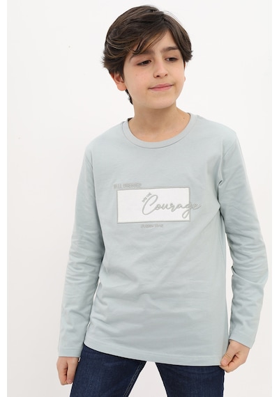 Toontoy Kids Toontoy Erkek Çocuk Nakışlı Tişört Su Yeşili