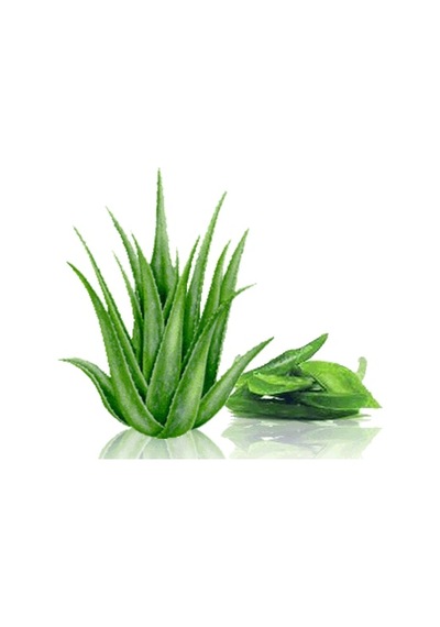 Shilibao Aloe Özlü Hazir Yüz Maskesi / 10 Adet