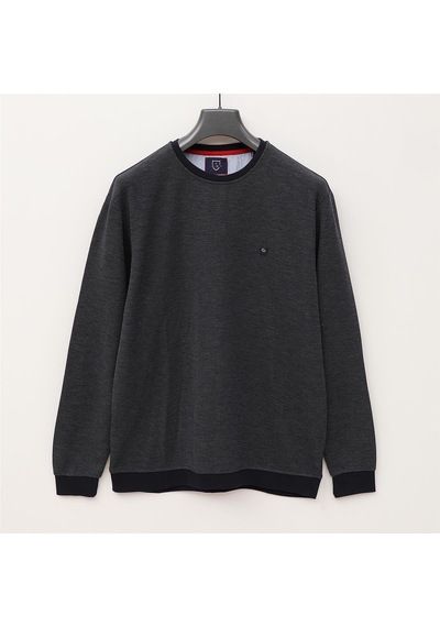 Dio Rise Erkek Uzun Kol İnce Sweatshirt - Czt-130 - Füme - Lacivert Füme - Lacivert