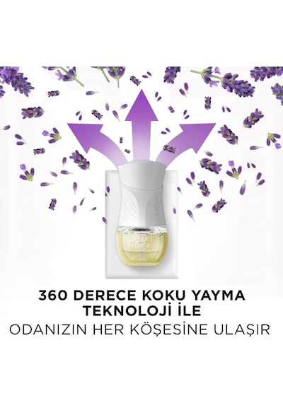 Air Wick Elektrikli Oda Kokusu Yedek Şişe Lavanta x 3