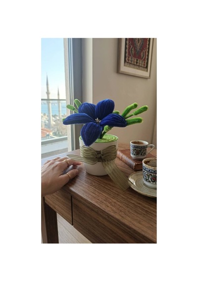 Şönil Lacivert Lilyum Mini Saksı