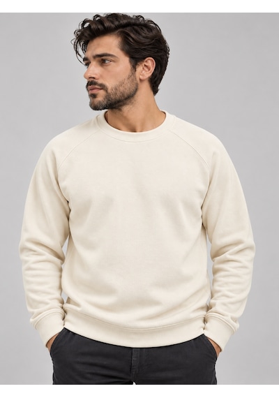 We&me Erkek Pike Kumaş Reglan Kol Bisiklet Yaka Regular Fit Sweatshirt Ekru