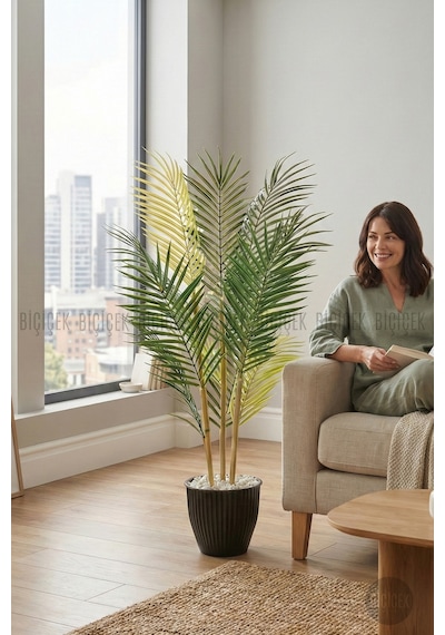 Biçiçek 100 Cm Areka Ağaci 3 Gövdeli̇