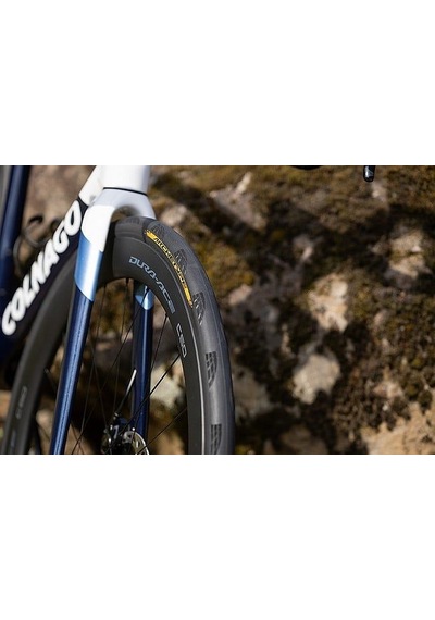 Continental Archetype 700x30 Tle Tour De France Limited Edition Dış