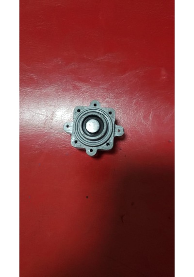 Yat Karavan Su Pompa Diyafram Tip Basınç Şalteri-Switch-Dp160-Dp160M(12V-220V)Yedek