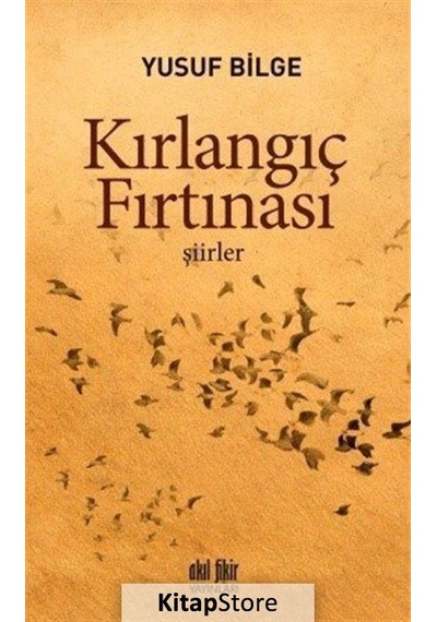 Kırlangıç Fırtınası - Yusuf Bilge - Akıl Fikir Yayınları