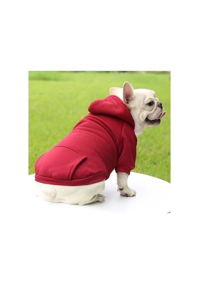 Kedi Ve Köpek İçin Cepli Ve Kapüşonlu Kırmızı Sweatshirt