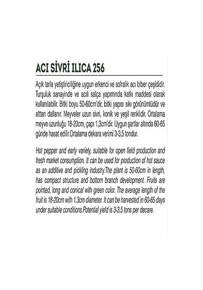 Ata Tohumu Yöresel Sivri Biber Acı Ilıca 1000 Adet Tohum