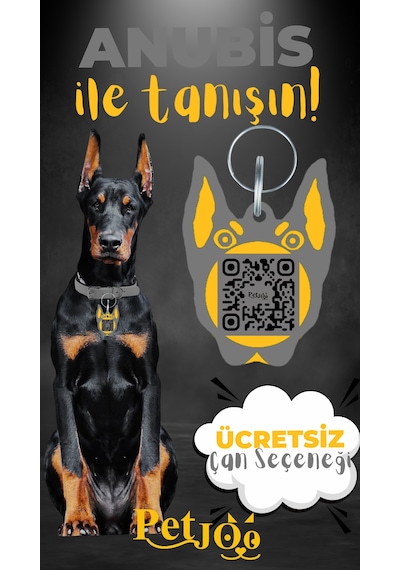 Petjoo 30.Anubis Sarı-Gri Qr'lı Köpek Künyesi