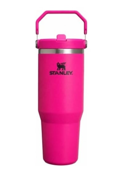 Koyu Pembe Renkli 0.89 Litre Termos İle Şık Tasarım 01