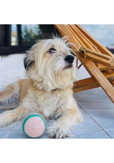 Pofuduk Top Köpek Oyuncağı Pamuklu