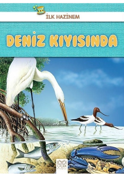 Deniz Kıyısında-İlk Hazinem - Denise Ryan - 1001 Çiçek