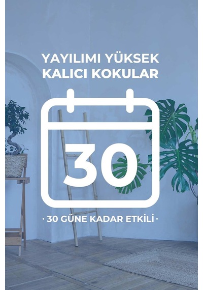 Hindistan Cevizi Ve Vanilya Çubuklu Oda Kokusu, Reed Diffuser, 100 Ml, Türkiye Menşeli Diğer