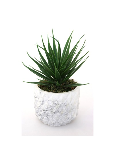 Yapay Çiçek Deposu Ananas Model Beton Saksıda Yapay Sukulent Tanzimi 19cm