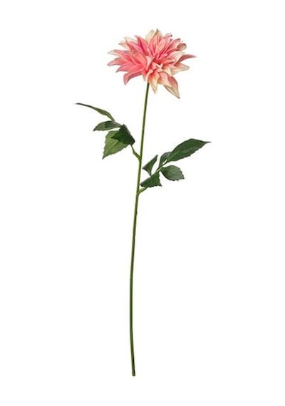 Ikea Smycka Yapay Çiçek, Pembe, 65 Cm, İç-dış Mekan Yıldız Çiçeği