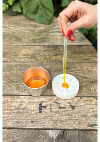 Rufus Concept Pastör Pipet Damlalık 3 Ml 50 Adet Genel