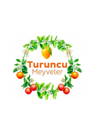 Puretex Puretex Yüzey Temizlik Havlusu Turuncu Meyveler 100 Yaprak