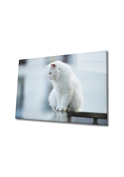 Beyaz Kedi Cam Tablo