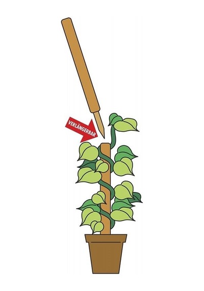 Coconut Bitki Çubuğu - 110 CM