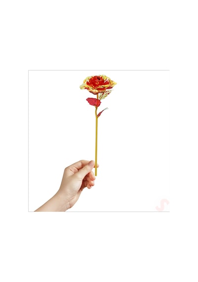 Sonsuzluk Gülü, 25 Cm X 8cm - Kırmızı