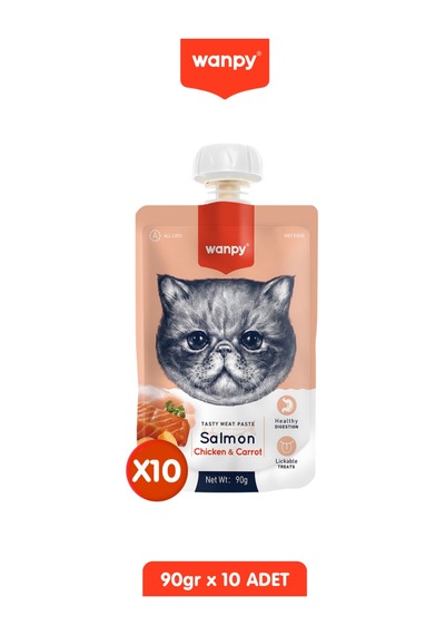 10lu Taze Somonlu & Tavuklu Kedi Et Ezmesi 10 X 90 Gr