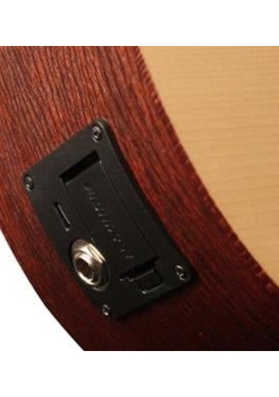 Cort Earthmınıf-adırondack Adirondack Kapaklı Mini Akustik Gitar