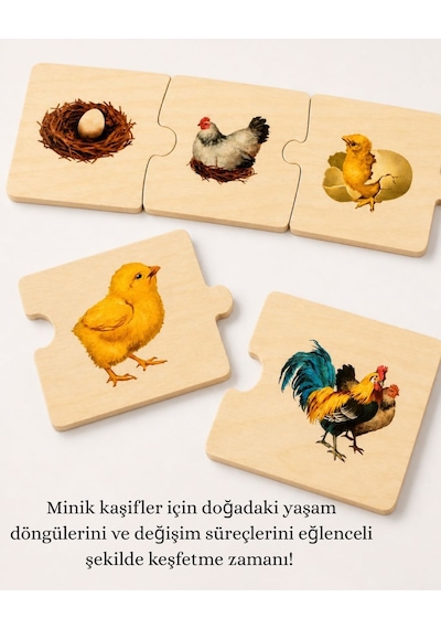 Montessori Ahşap Puzzle Doğa Harikaları 50 Parça Yaşam Döngüsü Sıralama Eğitici Oyun