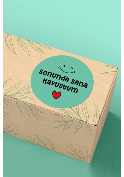 Sonunda Sana Kavuştum Mint Sticker 3x3cm St2343 Çok Renkli