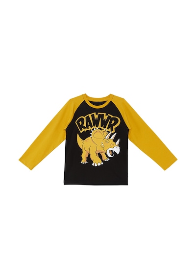 Rawr Erkek Çocuk T-shirt Eşofman Altı Takım