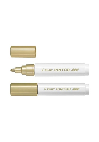 Pılot Pintor M - Altın