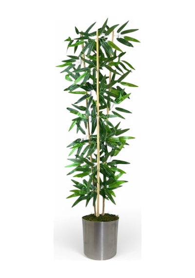 Dekoratif Yapay Yapraklı 3 Gövde Bambu Ağacı 150 Cm Bambu Metal Saksı Yeşil