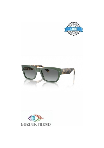 Vogue 0vo5530s 309211 55 Erkek Güneş Gözlüğü