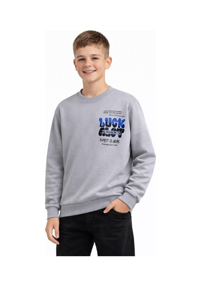 Baglan Erkek Çocuk Önü Arkası Baskılı Sweatshirt Bgl-st05237 Gri