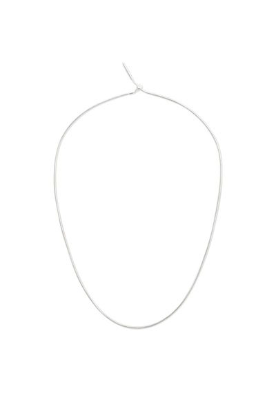 Daniel Wellington Dw00401048 Kadın Kolye Diğer