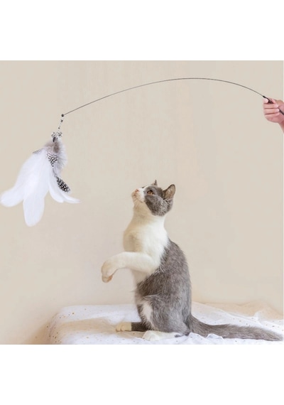 Durukar Vantuzlu Tüylü Zilli Olta Kedi Oyuncağı 2 Oltalı