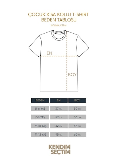 Aslan Kafası Sarı Kırmızı Yeleli Galatasaray Baskılı Tişört Çocuk T-shirt 001