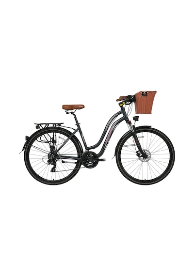 Bisan CTX 6300 28" Jant 46 CM Kadro 21 Vites Kadın Şehir Bisikleti