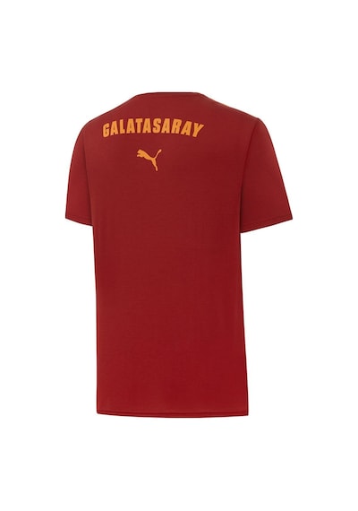 Galatasaray Orijinal Lisanslı Sıfır Yaka Kırmızı Antrenman 5 Yıldızlı T-shirt + Bileklik Set Hediyelik Ahşap Kutulu Kırmızı - Gri Galatasaray Orijinal Lisanslı Sıfır Yaka Kırmızı Antrenman 5 Yıldızlı T-shirt + Bileklik Set Hediyelik Ahşap Kutulu Kırmızı - Gri