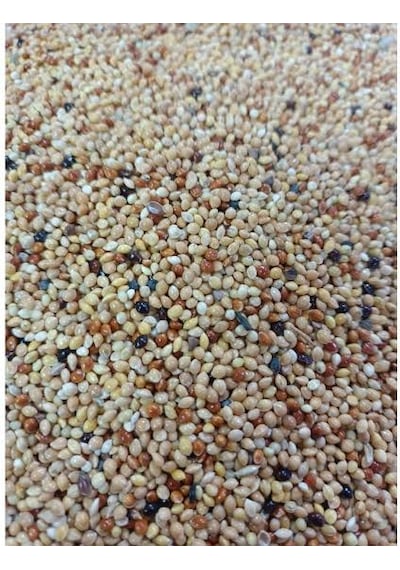 Muhabbet Kuş Yemi 1 KG