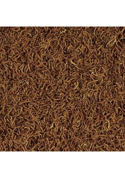 Tropical Meal Worms Kurutulmuş Un Kurdu 100 Ml / 13 Gr